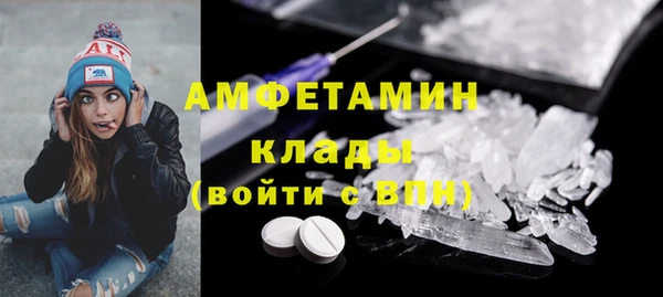шишки Горнозаводск