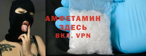 шишки Горнозаводск