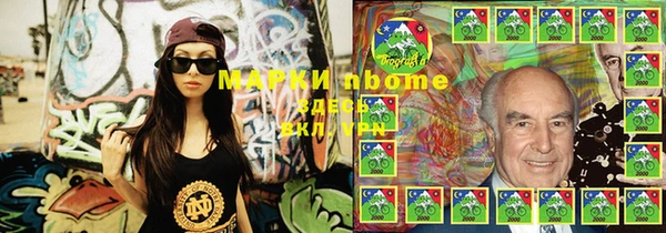 шишки Горнозаводск