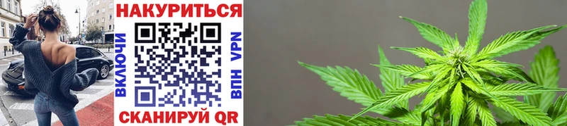 где найти   Иноземцево  Каннабис SATIVA & INDICA 